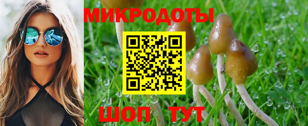 Псилоцибиновые грибы GOLDEN TEACHER  сколько стоит  Вязьма  Вход с VPN 