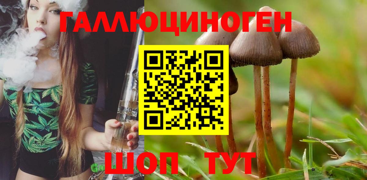 Галлюциногенные грибы Magic Shrooms Вязьма